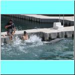 dolphins021.jpg