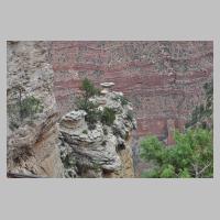 grandcanyon04.jpg