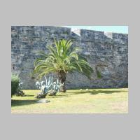 Bermuda14.jpg
