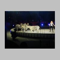 circus010.jpg