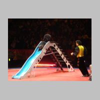 circus021.jpg