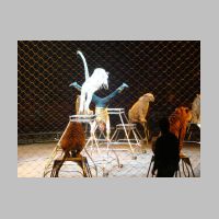 circus056.jpg