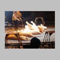 circus057.jpg