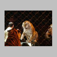 circus059.jpg
