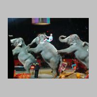 circus073.jpg