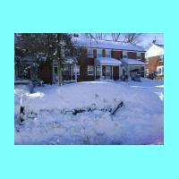feb-snow017.jpg