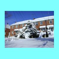 feb-snow023.jpg