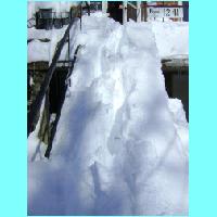 feb-snow038.jpg