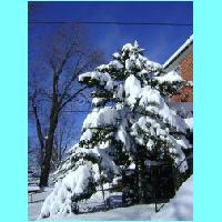 feb-snow039.jpg