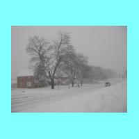 feb-snow046.jpg