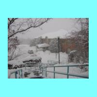 feb-snow047.jpg