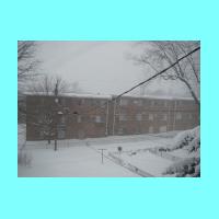 feb-snow048.jpg