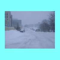 feb-snow054.jpg