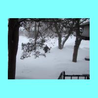 feb-snow067.jpg