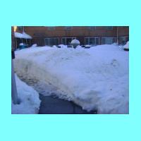 feb-snow086.jpg