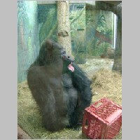 zoo-015.jpg
