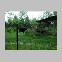 zoo-017.jpg