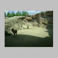 zoo-025.jpg