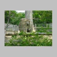 zoo-031.jpg