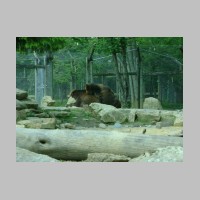zoo-039.jpg