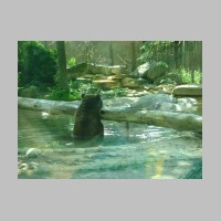 zoo-042.jpg