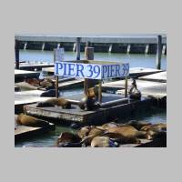 Pier39-037.jpg