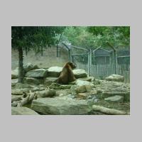 zoo-13.jpg