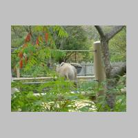 zoo-20.jpg