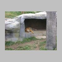 zoo-30.jpg