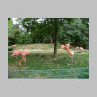 zoo-38.jpg