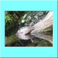 2003Aquarium 004.jpg