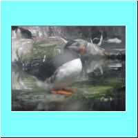 2003Aquarium 010.jpg