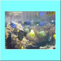 2003Aquarium 011.jpg
