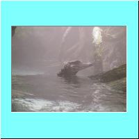 2003Aquarium 016.jpg