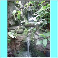 2003Aquarium 018.jpg