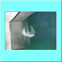 2003Aquarium 021.jpg