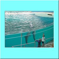 2003Aquarium 022.jpg