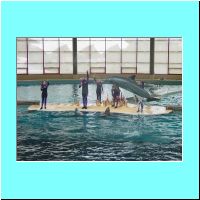 2003Aquarium 024.jpg