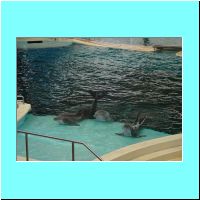 2003Aquarium 025.jpg