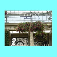 conservatory002.JPG