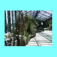 conservatory027.JPG