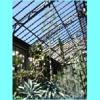 conservatory030.JPG