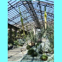 conservatory033.JPG