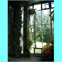 conservatory035.JPG