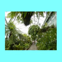 conservatory047.JPG